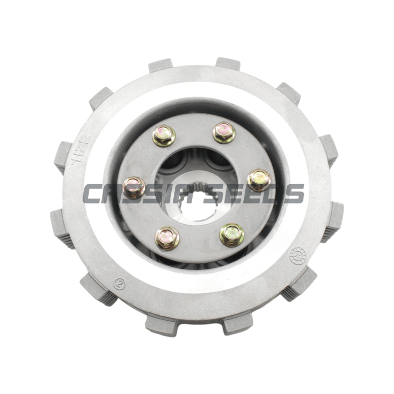 Model Kit Engine - Motorrad-Kupplungsbaugruppe Scheibenplatte für CFmoto CF250NK CF