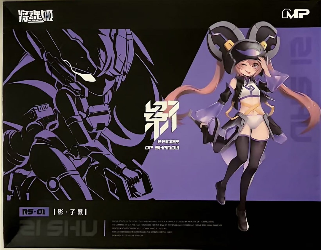 MS GENERAL Raider of Shadow RS – Model Kit Ms General Bewertung und Preis