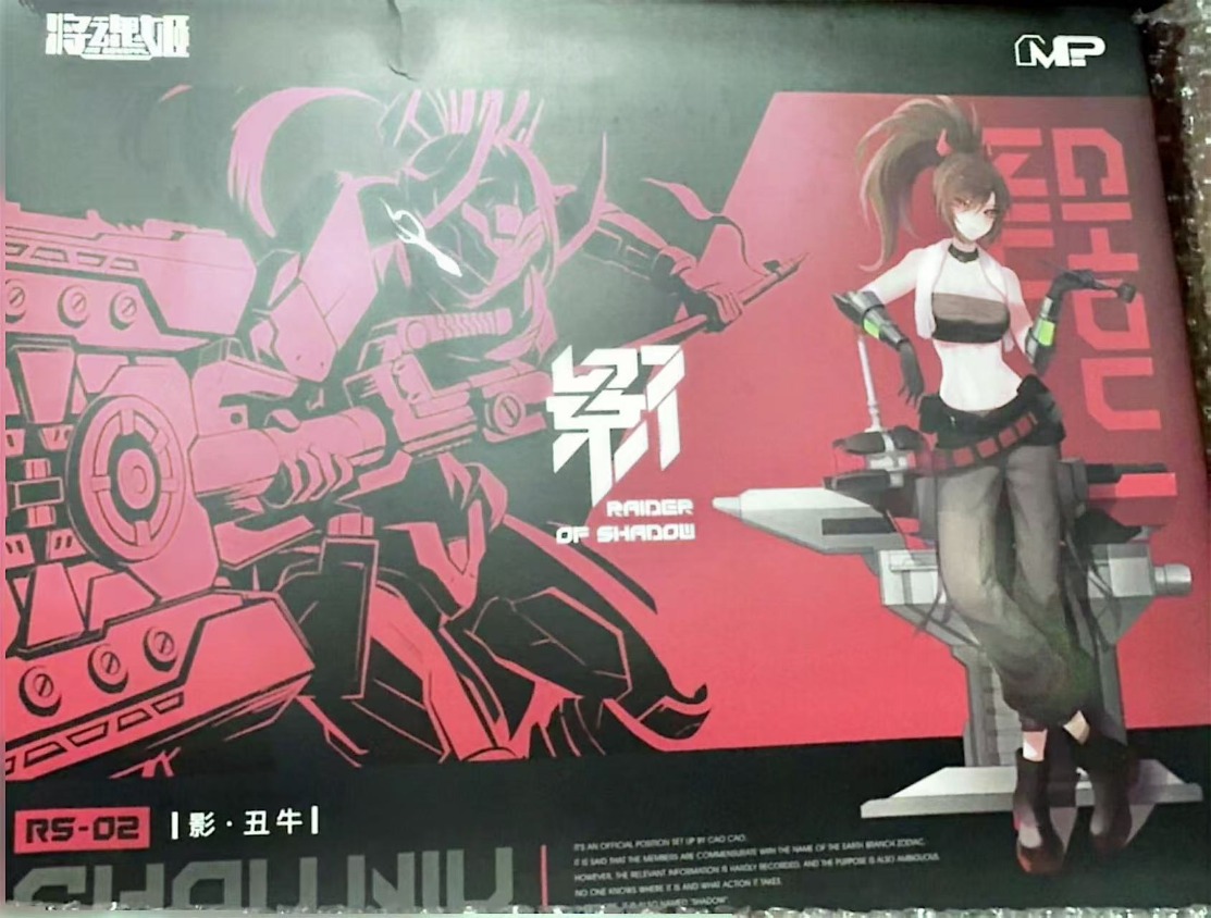 MS GENERAL Raider of Shadow RS – Model Kit Ms General Bewertung und Preis